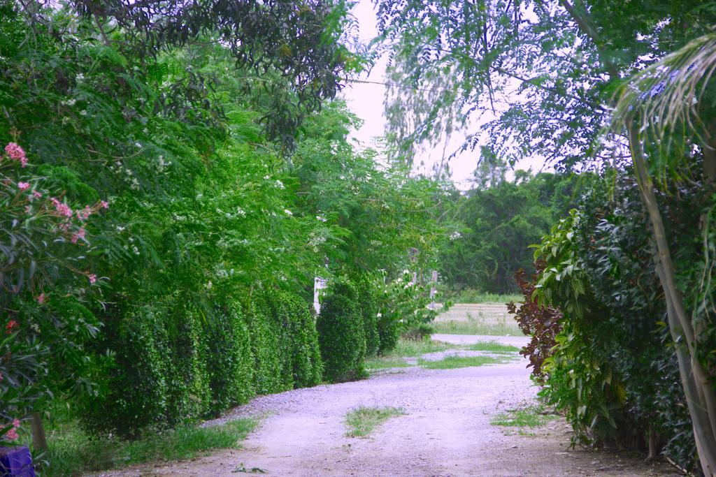 Kp Mountain Beach Pranburi Kültér fotó